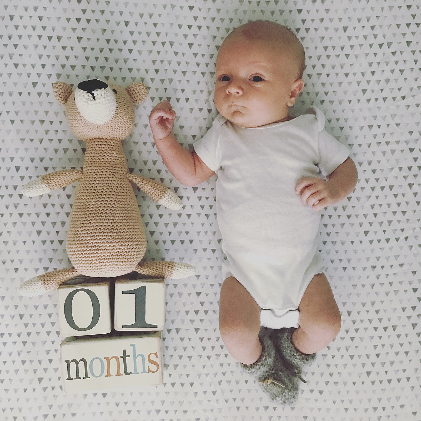 A baby lays beside a stuffed animal and some blocks for newborn month by month pictures.