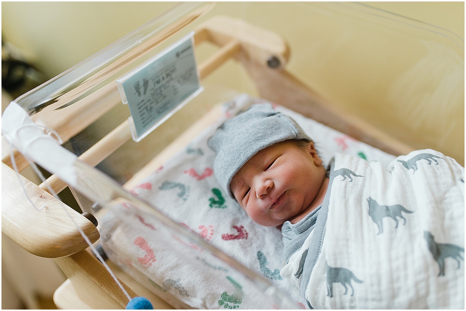 A swaddled baby lays in a hospital bassinet.